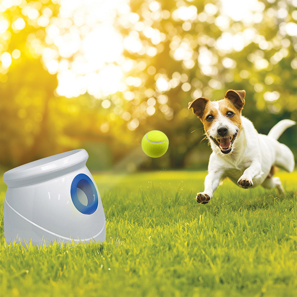 Automatic Tennis Ball Launcher